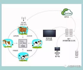 一個你不知道的神器！不了解它，連牛羊都不讓你養，你還談什么智慧養殖？